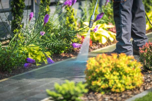 Best Boat and Dock Cleaning  in Haledon, NJ